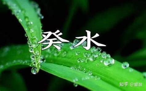 癸水名人|八字十天干详解——癸水